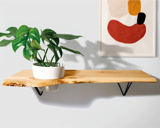 PLANT POT SHELF | pot included | Black resin | Matte finish