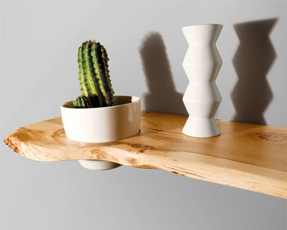 PLANT POT SHELF | pot included | Black resin | Matte finish